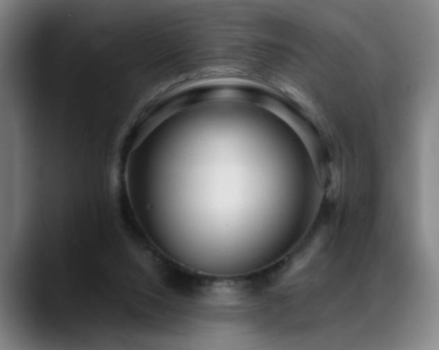 X0000089380064200706151212
