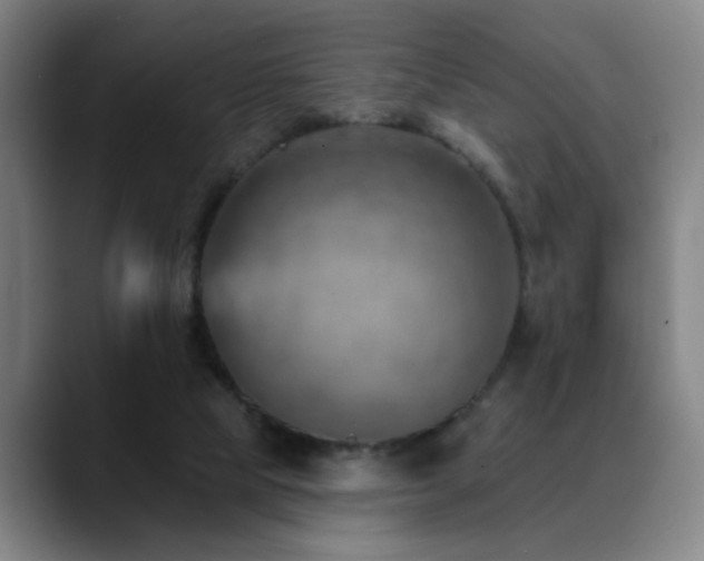 X0000089380065200706151212