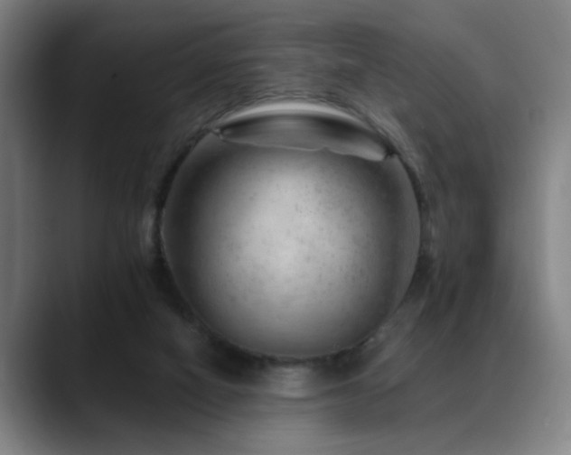 X0000089380066200706151212