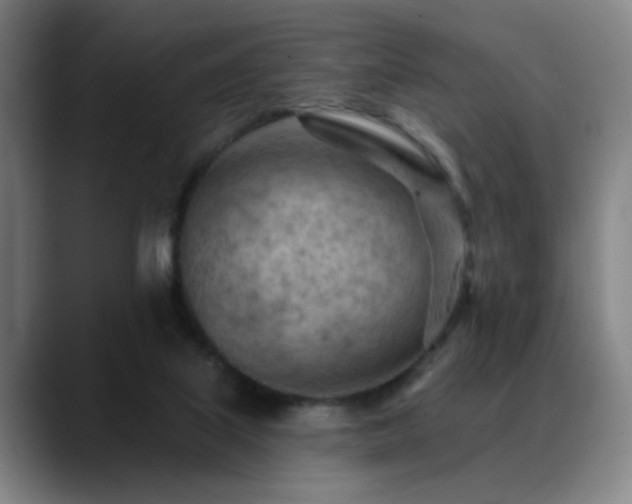 X0000089380067200706151212