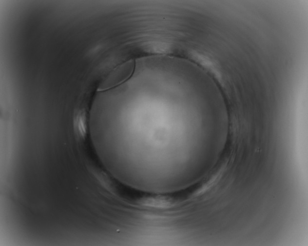 X0000089380069200706151212