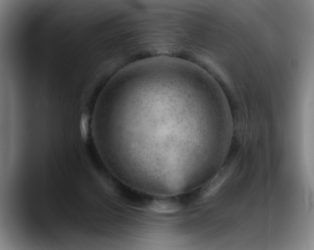 X0000089380070200706151212