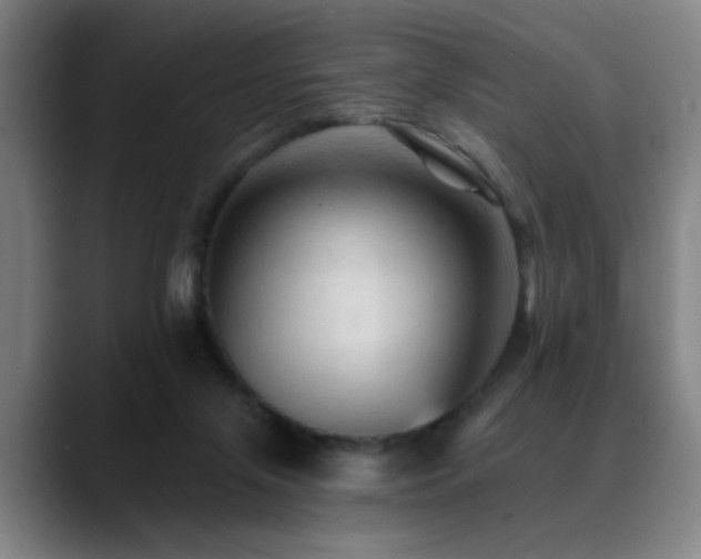 X0000089380071200706151212
