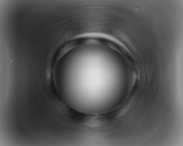 X0000089380072200706151212