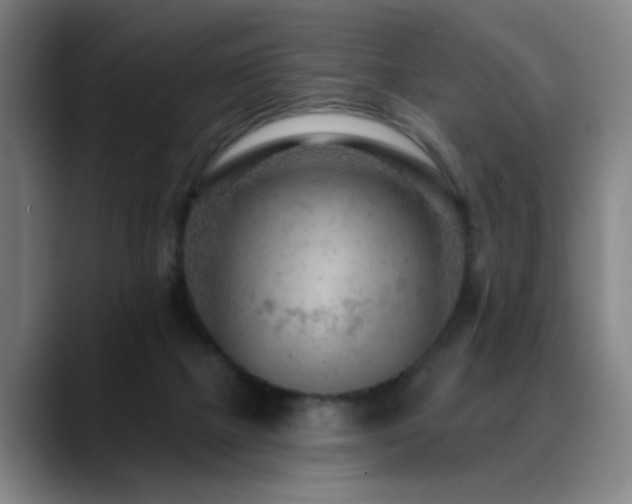 X0000089380073200706151212