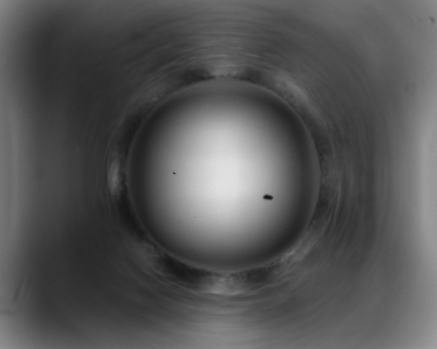 X0000089380074200706151212
