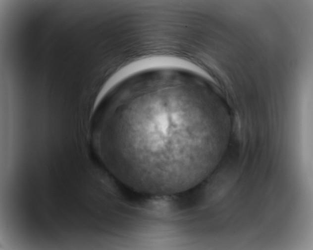 X0000089380076200706151212