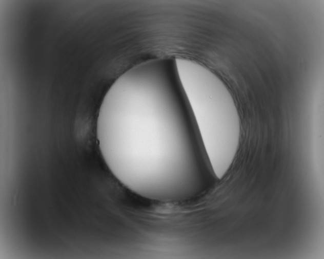 X0000089380079200706151212