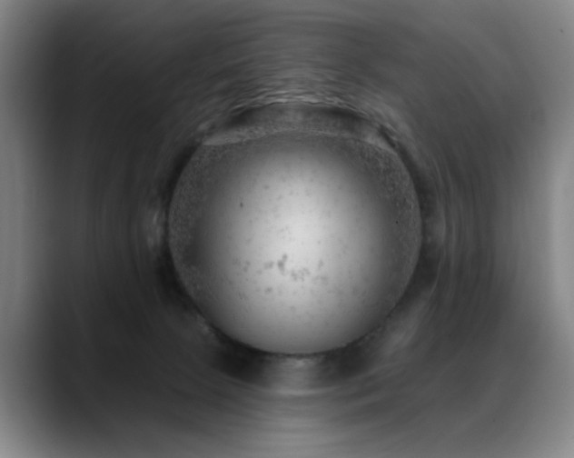 X0000089380081200706151212