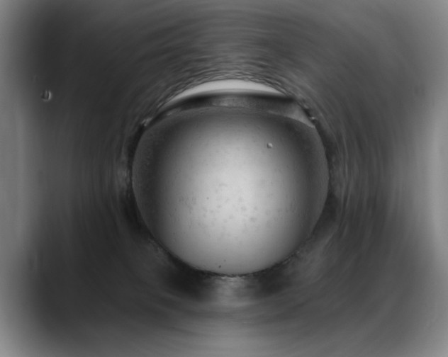 X0000089380085200706151212