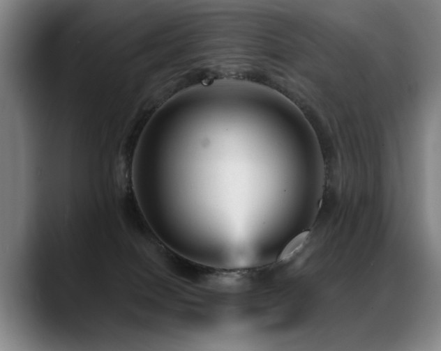 X0000089380086200706151212