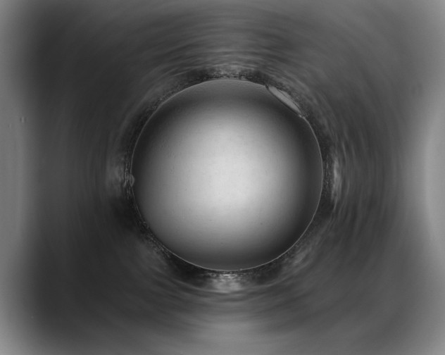 X0000089380091200706151212