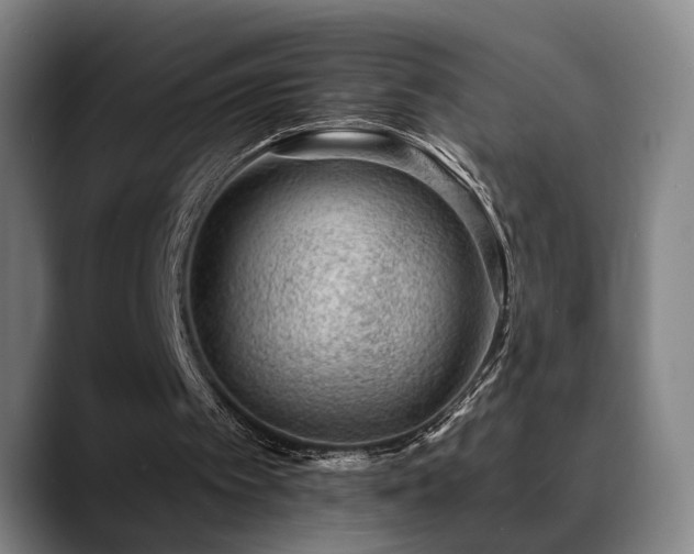 X0000089380097200706151211