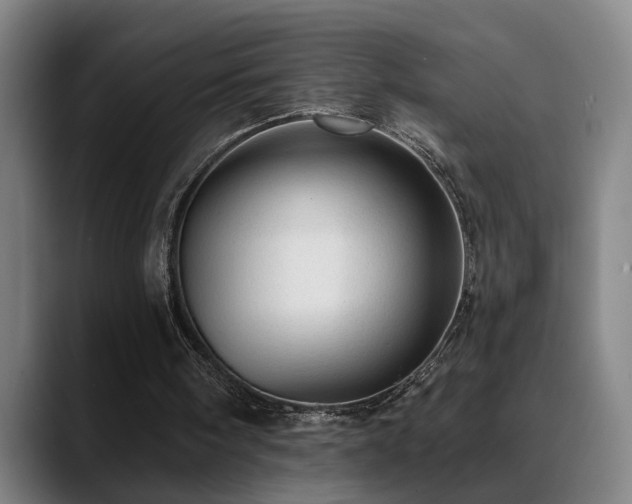 X0000089380098200706151211
