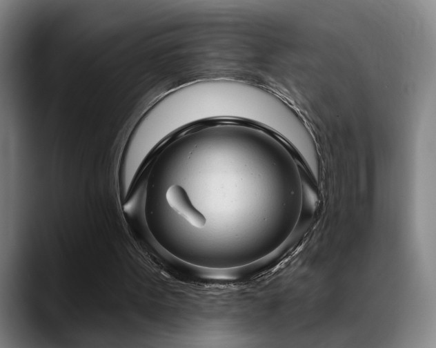 X0000089380099200706151211