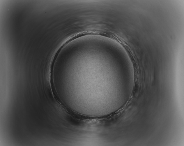X0000089380100200706151211