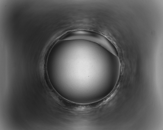X0000089380101200706151211