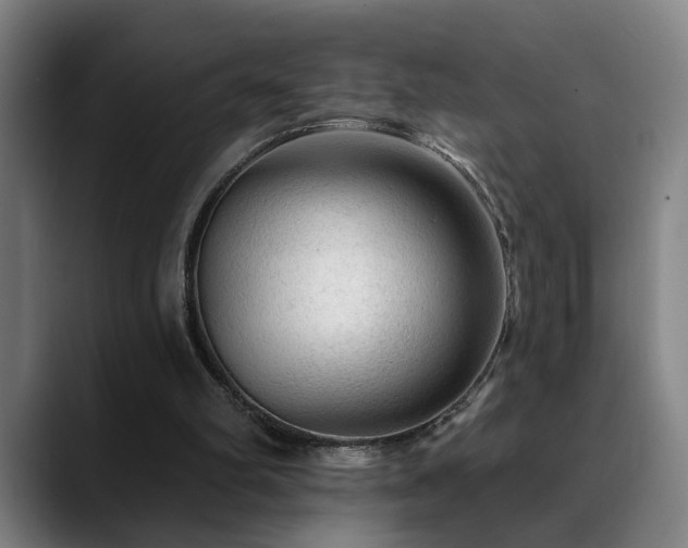 X0000089380102200706151211