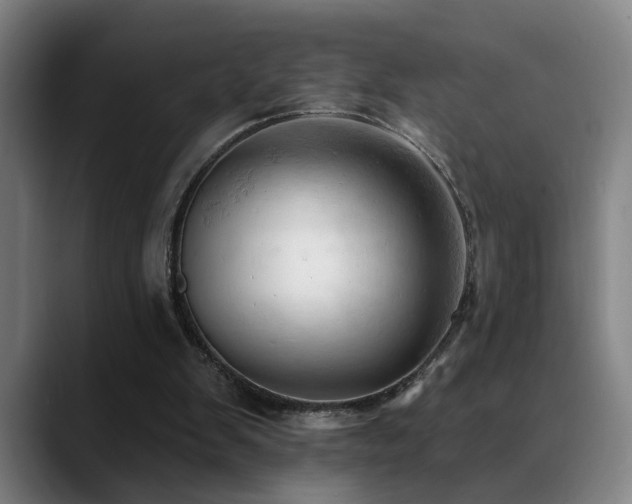 X0000089380103200706151211