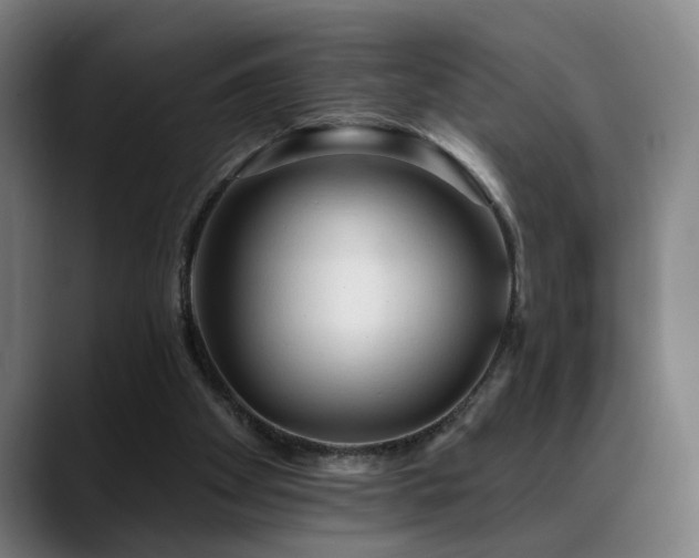 X0000089380105200706151211