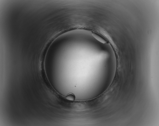 X0000089380106200706151211