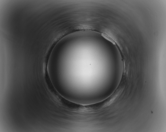 X0000089380109200706151211