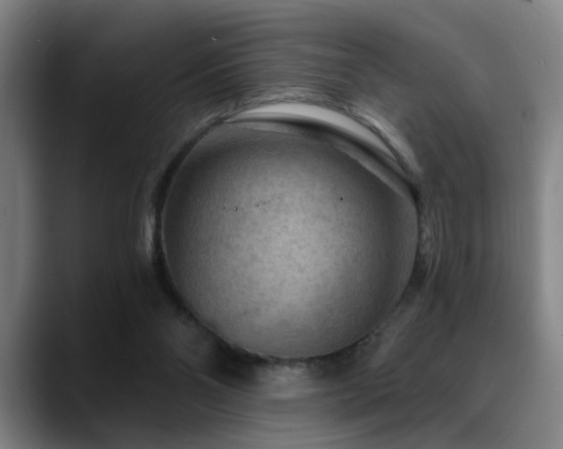 X0000089380110200706151211