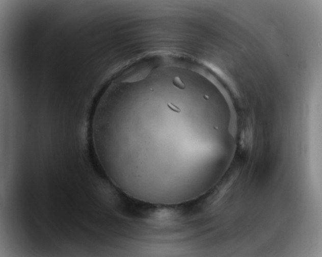 X0000089380111200706151211