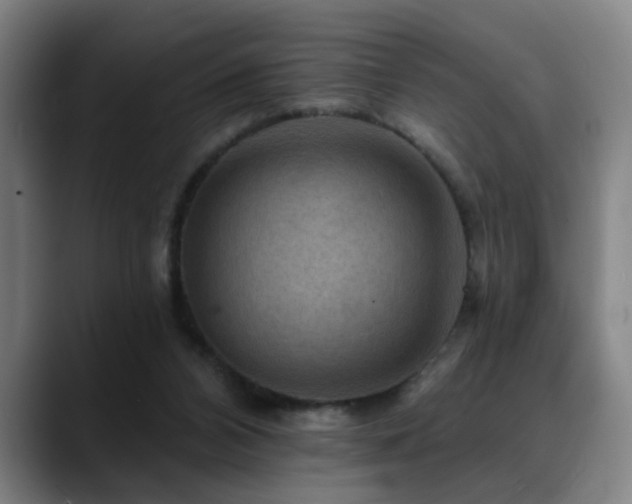 X0000089380112200706151211
