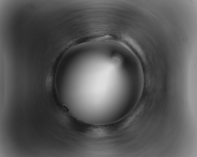X0000089380113200706151211