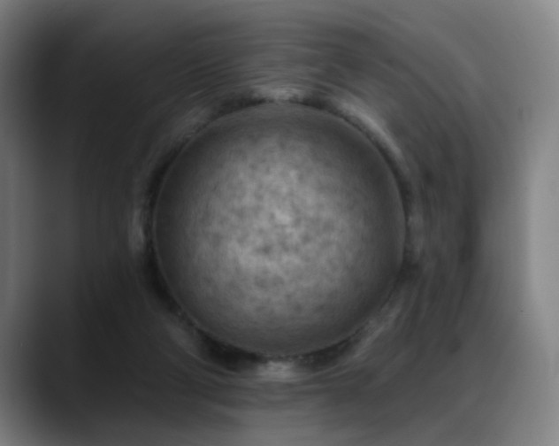 X0000089380114200706151211