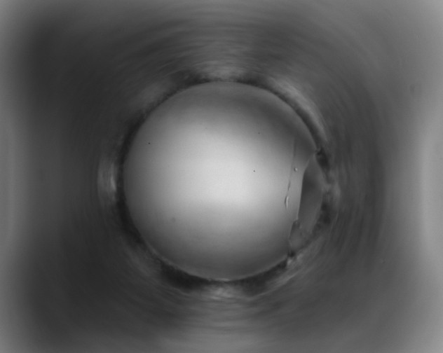 X0000089380115200706151211