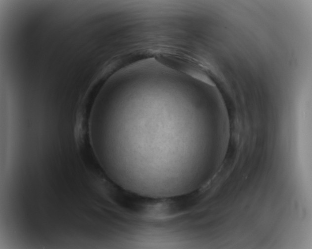 X0000089380116200706151211