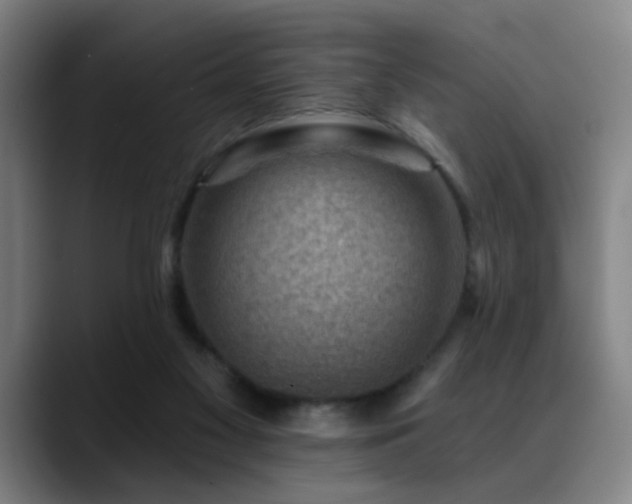 X0000089380117200706151211