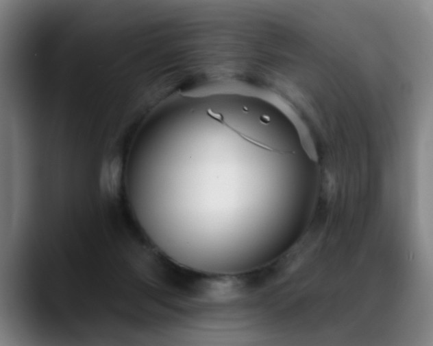 X0000089380118200706151211