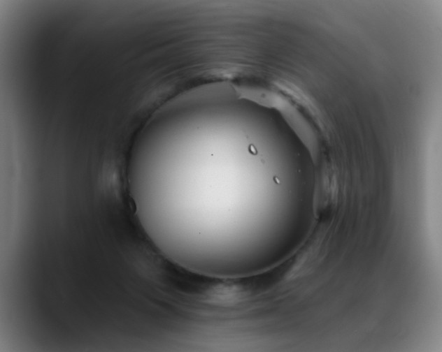 X0000089380119200706151211