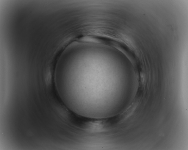 X0000089380120200706151211