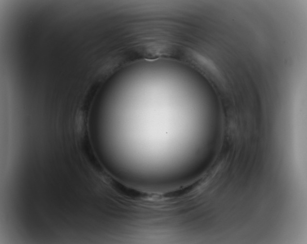 X0000089380121200706151211