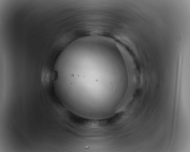 X0000089380123200706151211