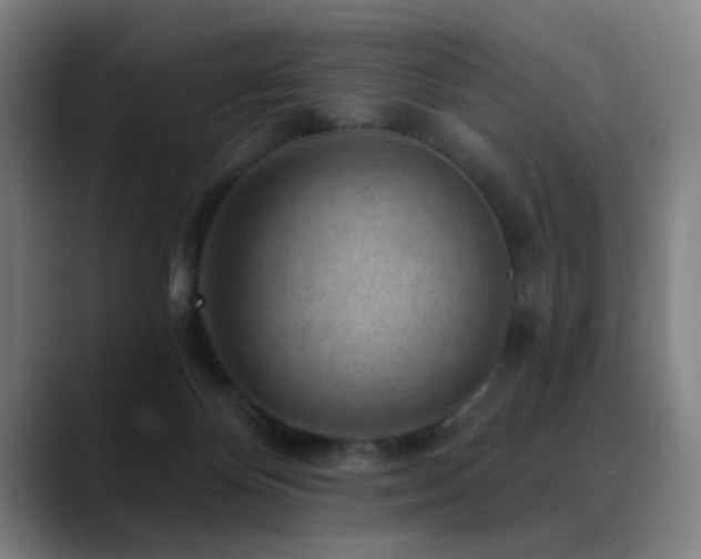 X0000089380124200706151211