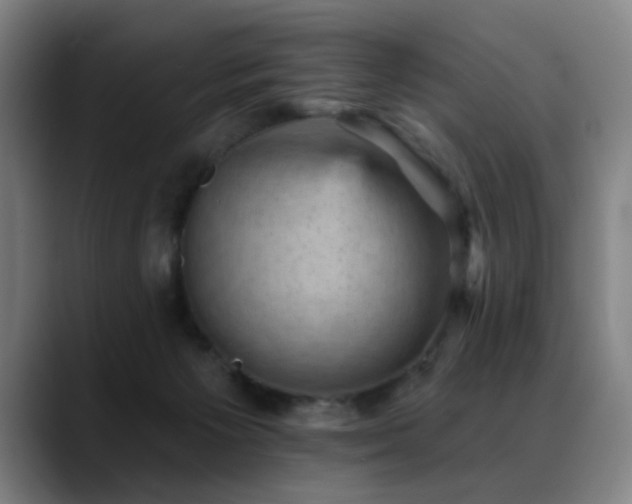 X0000089380125200706151211