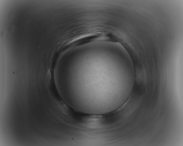 X0000089380128200706151211