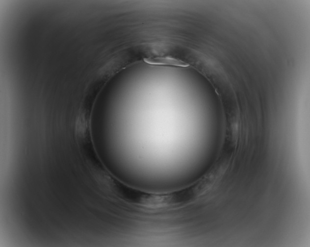 X0000089380129200706151211