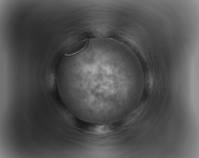 X0000089380130200706151211