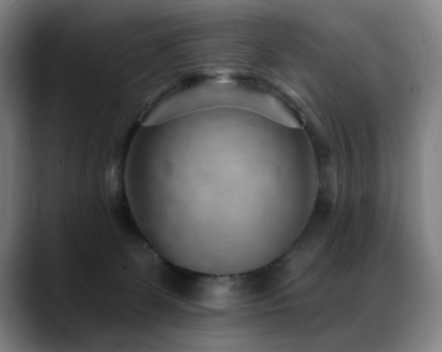 X0000089380131200706151211