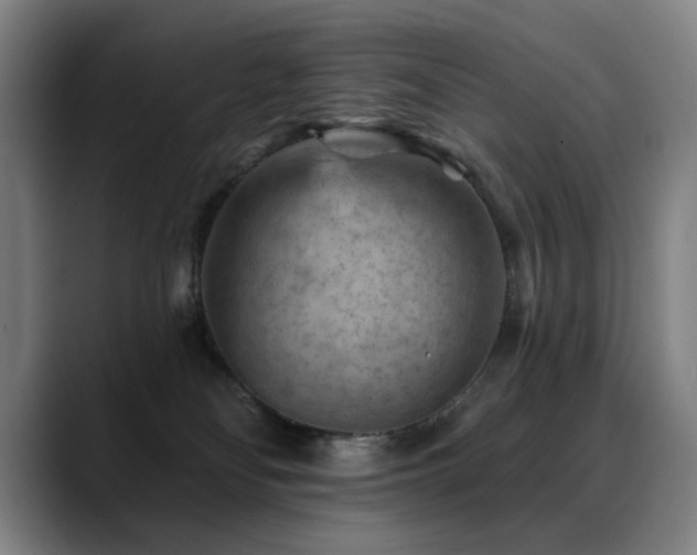 X0000089380134200706151211