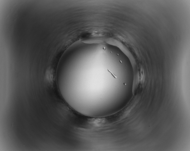 X0000089380135200706151211