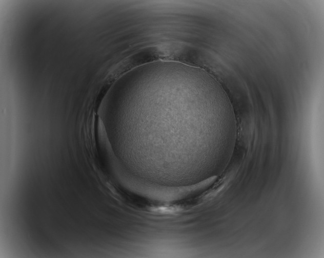 X0000089380137200706151211