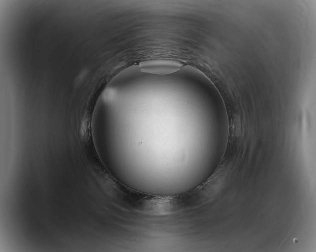 X0000089380138200706151211