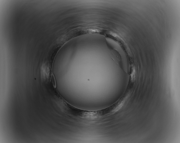 X0000089380139200706151211